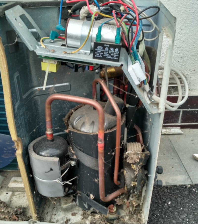 Předsezónní servis a dezinfekce